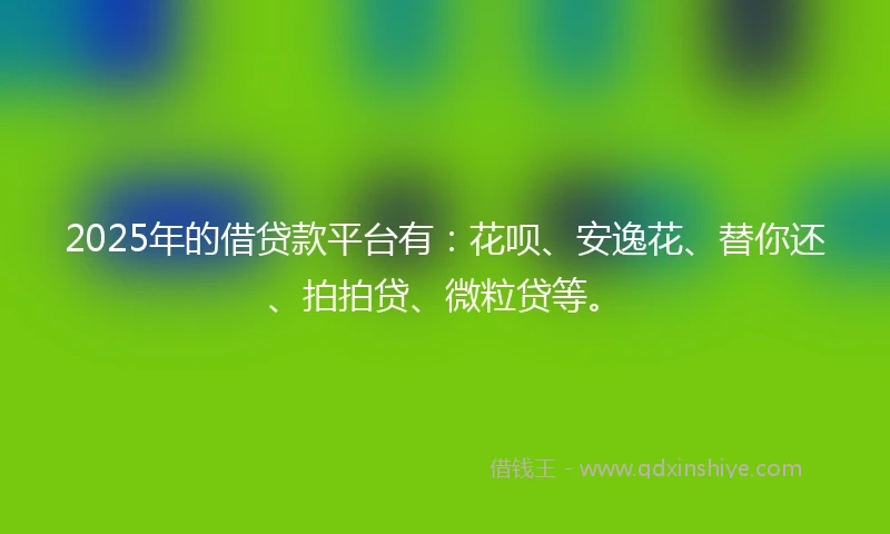 2025年的借贷款平台有：花呗、安逸花、替你还、拍拍贷、微粒贷等。
