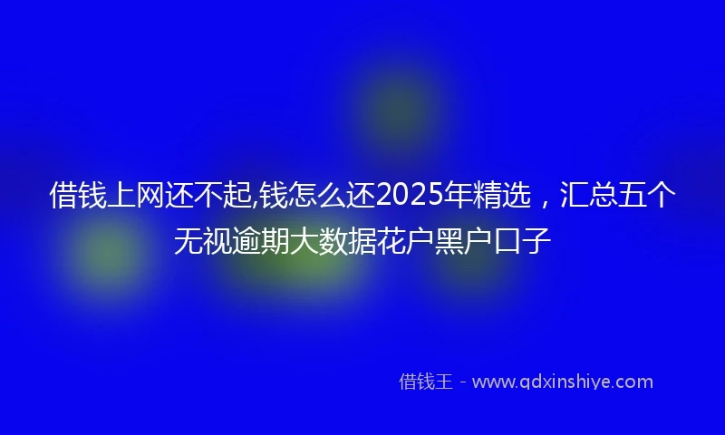 借钱上网还不起,钱怎么还2025年精选，汇总五个无视逾期大数据花户黑户口子