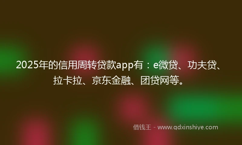2025年的信用周转贷款app有：e微贷、功夫贷、拉卡拉、京东金融、团贷网等。