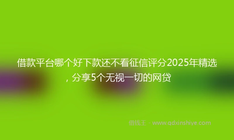 借款平台哪个好下款还不看征信评分2025年精选，分享5个无视一切的网贷