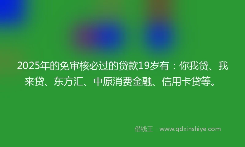 2025年的免审核必过的贷款19岁有：你我贷、我来贷、东方汇、中原消费金融、信用卡贷等。