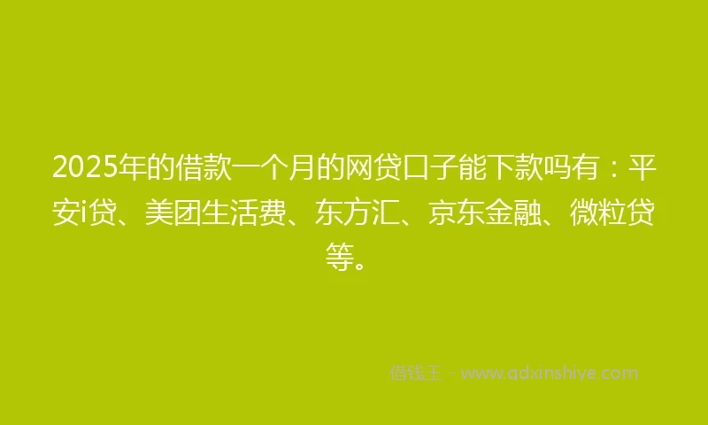 2025年的借款一个月的网贷口子能下款吗有：平安i贷、美团生活费、东方汇、京东金融、微粒贷等。