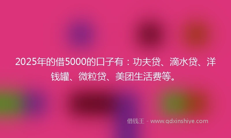 2025年的借5000的口子有：功夫贷、滴水贷、洋钱罐、微粒贷、美团生活费等。