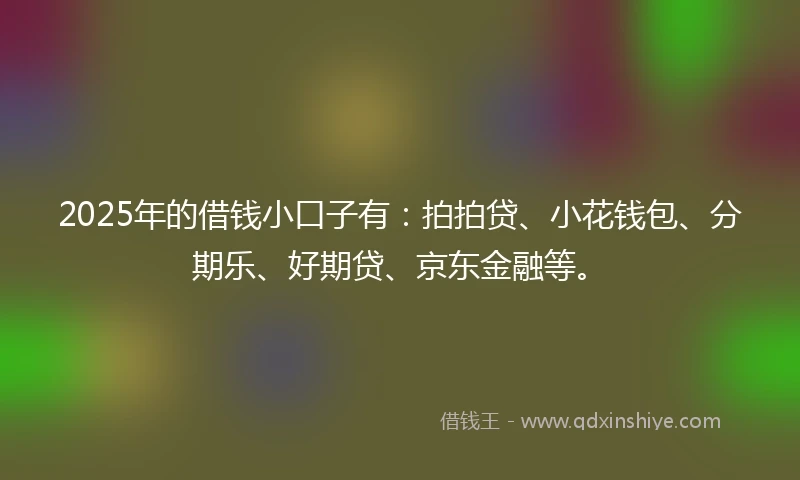 2025年的借钱小口子有：拍拍贷、小花钱包、分期乐、好期贷、京东金融等。