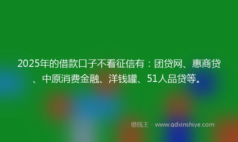 2025年的借款口子不看征信有：团贷网、惠商贷、中原消费金融、洋钱罐、51人品贷等。