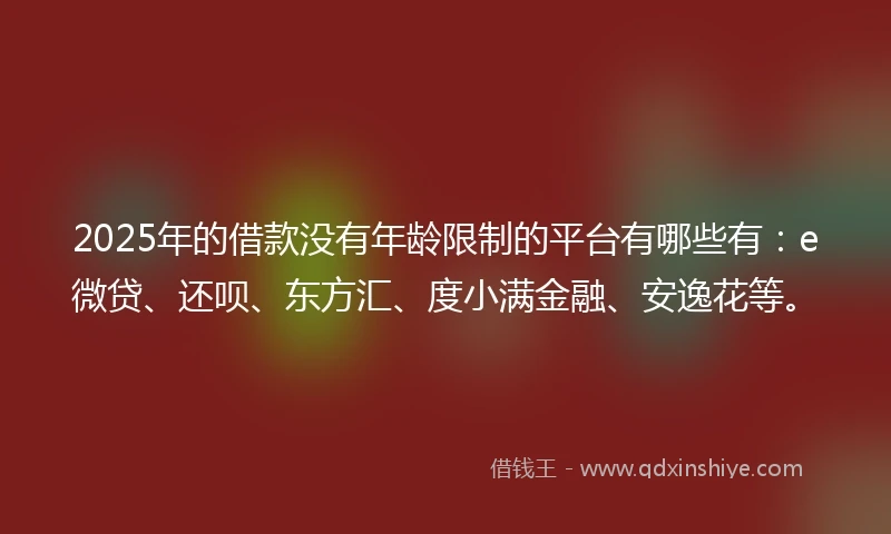 2025年的借款没有年龄限制的平台有哪些有：e微贷、还呗、东方汇、度小满金融、安逸花等。