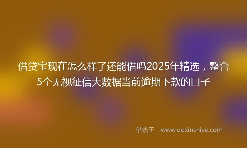 借贷宝现在怎么样了还能借吗2025年精选，整合5个无视征信大数据当前逾期下款的口子
