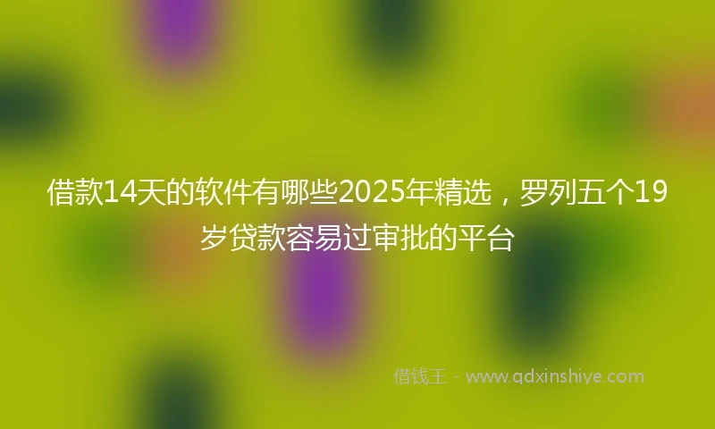 借款14天的软件有哪些2025年精选，罗列五个19岁贷款容易过审批的平台