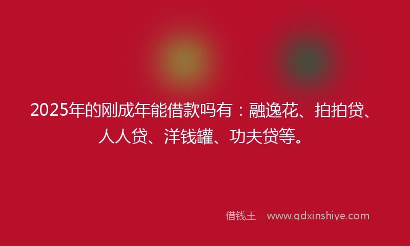 2025年的刚成年能借款吗有：融逸花、拍拍贷、人人贷、洋钱罐、功夫贷等。