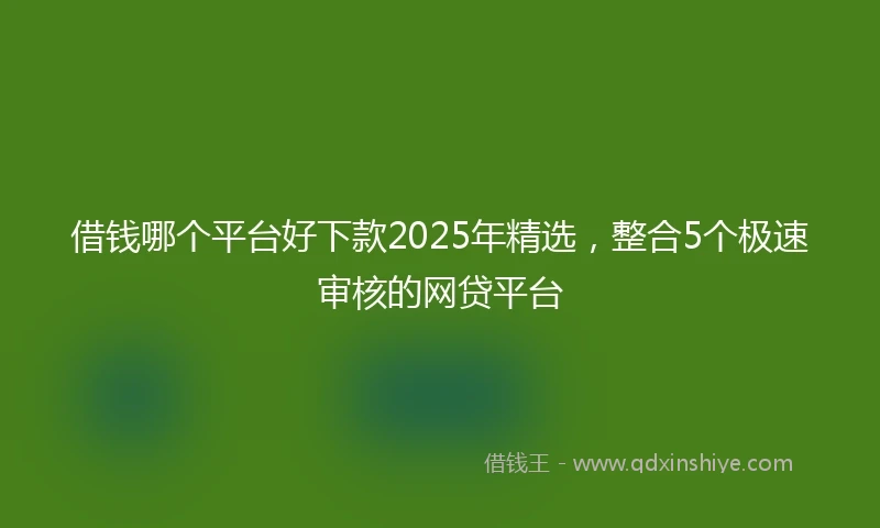 借钱哪个平台好下款2025年精选，整合5个极速审核的网贷平台