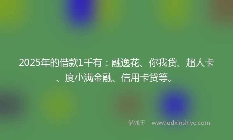 2025年的借款1千有：融逸花、你我贷、超人卡、度小满金融、信用卡贷等。