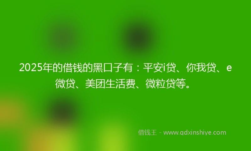 2025年的借钱的黑口子有：平安i贷、你我贷、e微贷、美团生活费、微粒贷等。