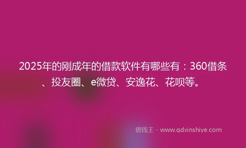 2025年的刚成年的借款软件有哪些有：360借条、投友圈、e微贷、安逸花、花呗等。