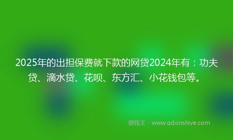 2025年的出担保费就下款的网贷2024年有：功夫贷、滴水贷、花呗、东方汇、小花钱包等。