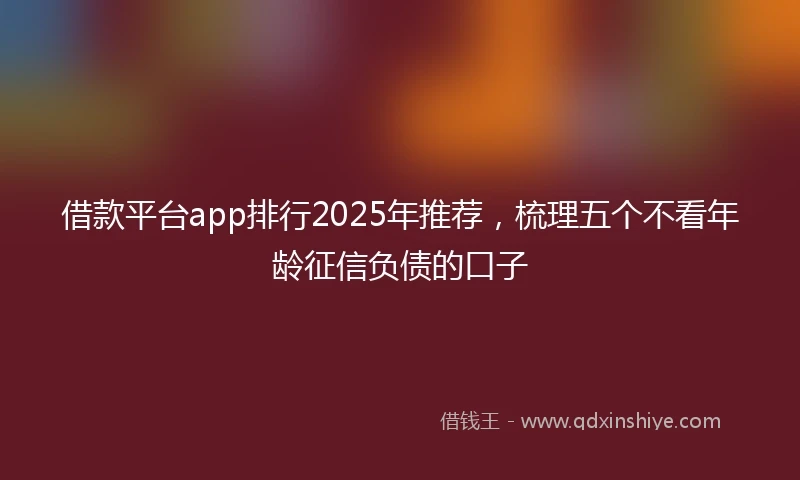 借款平台app排行2025年推荐，梳理五个不看年龄征信负债的口子