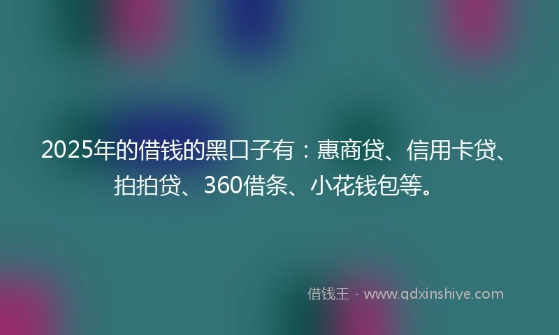 2025年的借钱的黑口子有：惠商贷、信用卡贷、拍拍贷、360借条、小花钱包等。