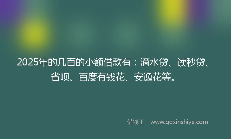 2025年的几百的小额借款有：滴水贷、读秒贷、省呗、百度有钱花、安逸花等。