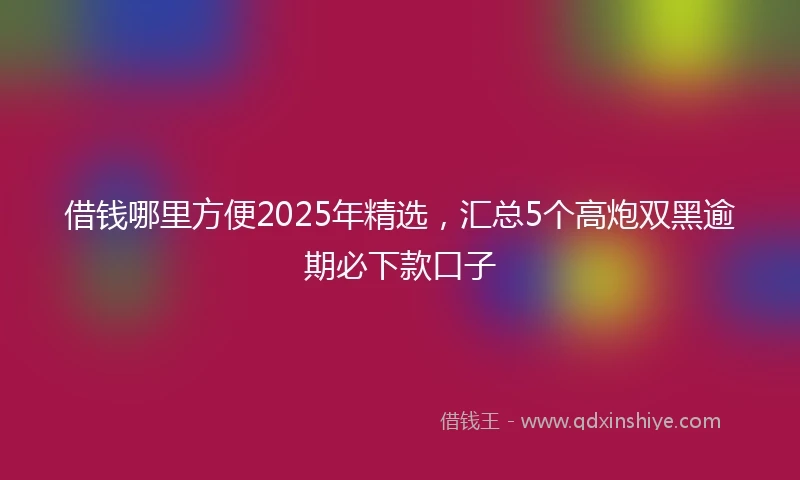 借钱哪里方便2025年精选，汇总5个高炮双黑逾期必下款口子