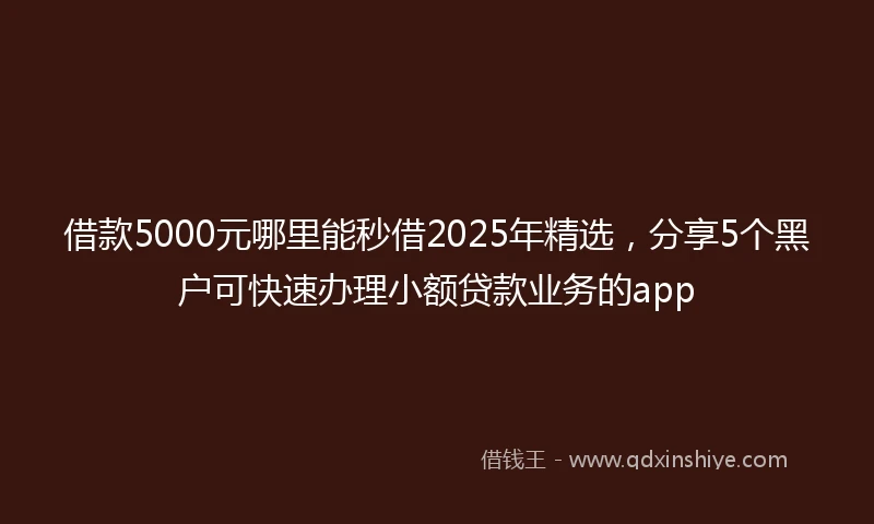 借款5000元哪里能秒借2025年精选，分享5个黑户可快速办理小额贷款业务的app