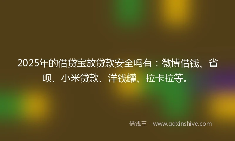 2025年的借贷宝放贷款安全吗有：微博借钱、省呗、小米贷款、洋钱罐、拉卡拉等。