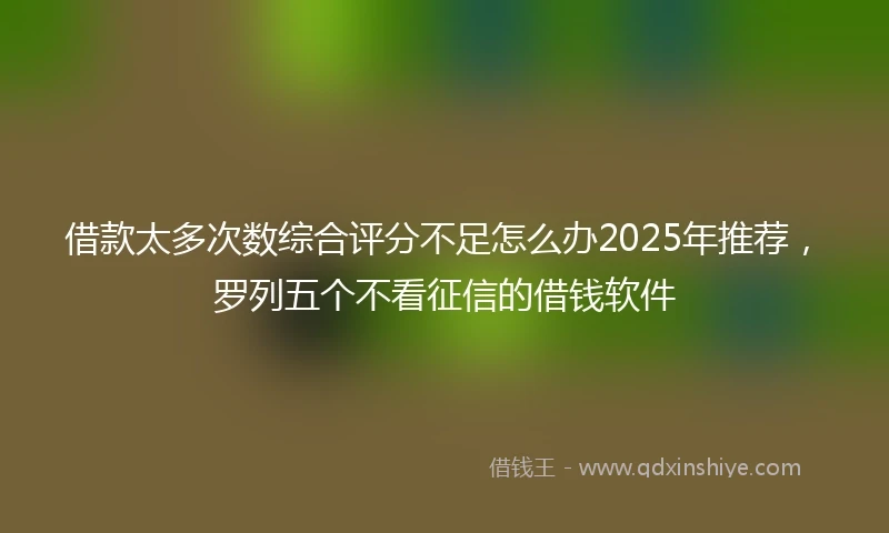 借款太多次数综合评分不足怎么办2025年推荐，罗列五个不看征信的借钱软件