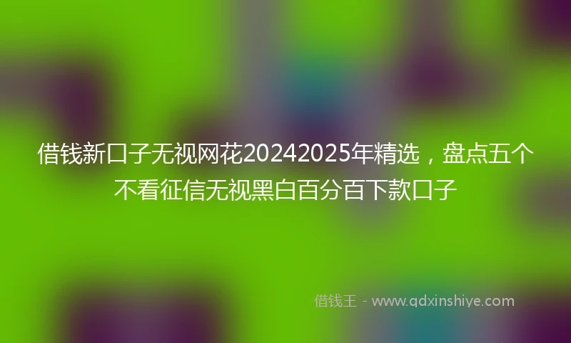 借钱新口子无视网花20242025年精选，盘点五个不看征信无视黑白百分百下款口子