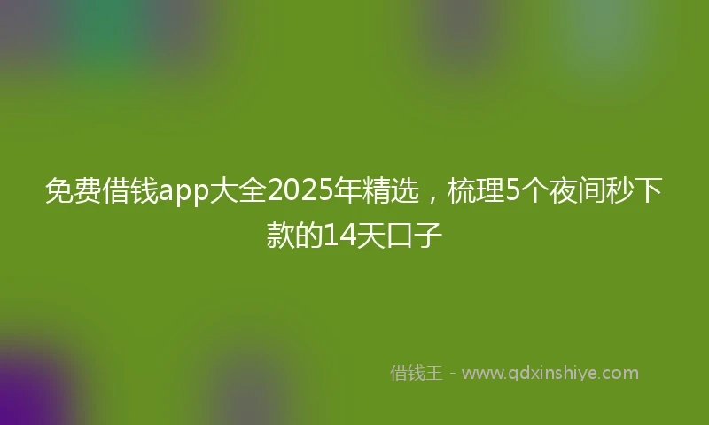 免费借钱app大全2025年精选，梳理5个夜间秒下款的14天口子