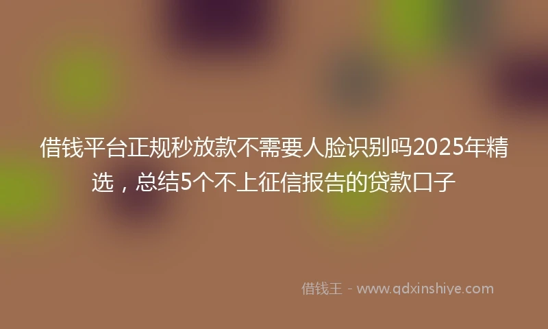 借钱平台正规秒放款不需要人脸识别吗2025年精选，总结5个不上征信报告的贷款口子