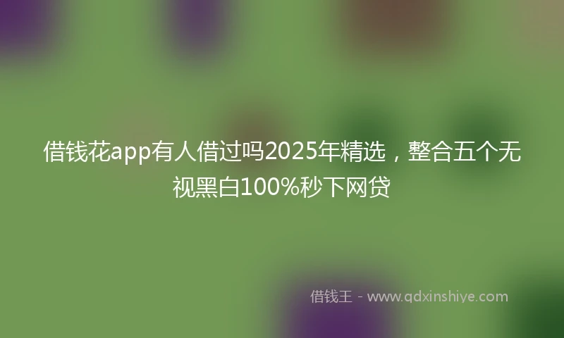 借钱花app有人借过吗2025年精选，整合五个无视黑白100%秒下网贷