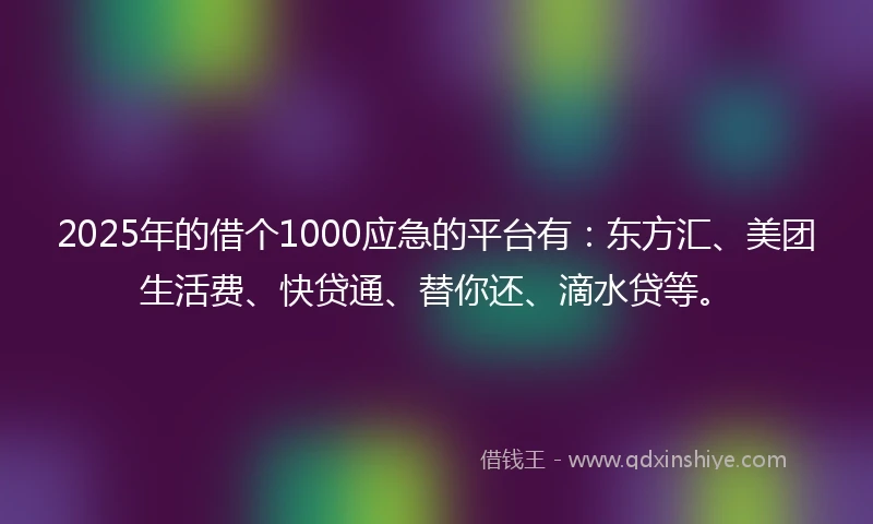 2025年的借个1000应急的平台有：东方汇、美团生活费、快贷通、替你还、滴水贷等。