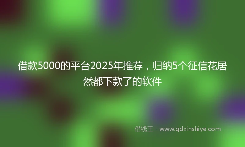 借款5000的平台2025年推荐，归纳5个征信花居然都下款了的软件