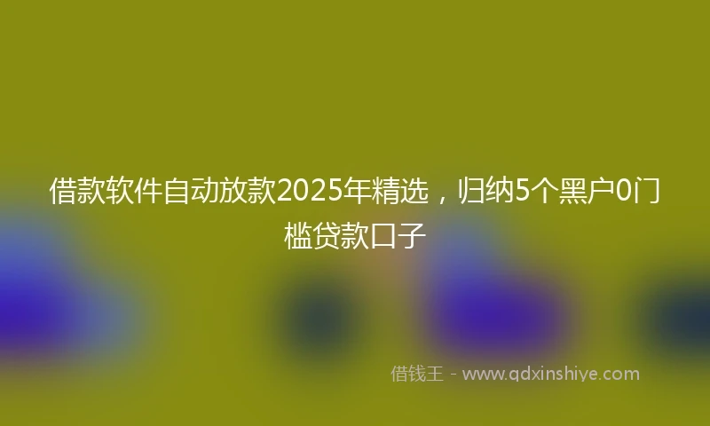借款软件自动放款2025年精选，归纳5个黑户0门槛贷款口子