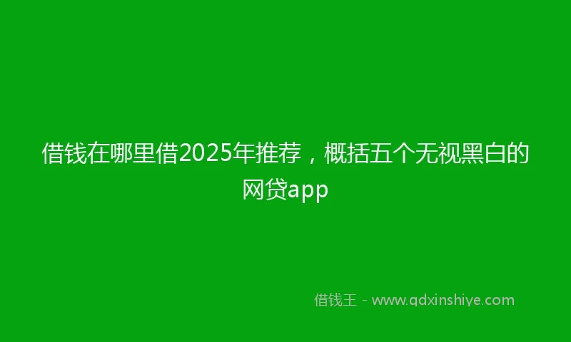 借钱在哪里借2025年推荐，概括五个无视黑白的网贷app