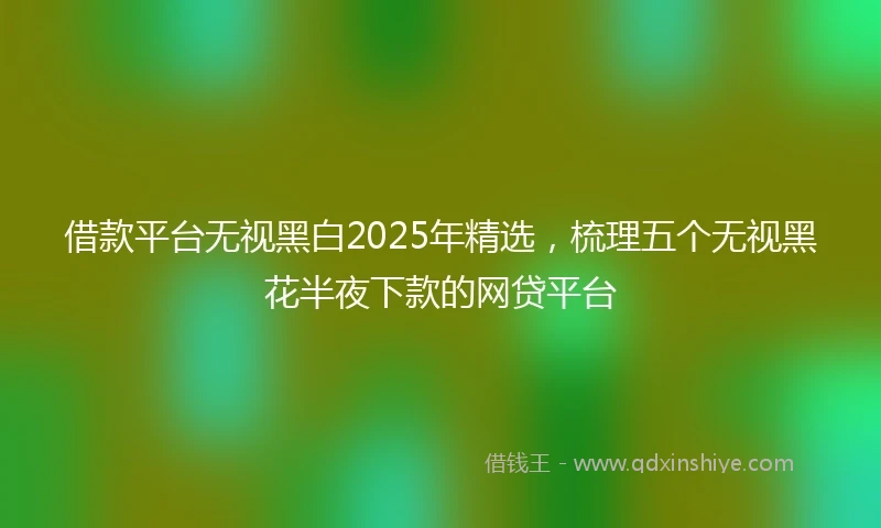 借款平台无视黑白2025年精选，梳理五个无视黑花半夜下款的网贷平台