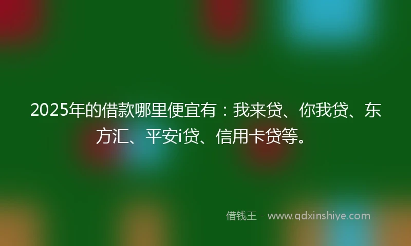 2025年的借款哪里便宜有：我来贷、你我贷、东方汇、平安i贷、信用卡贷等。