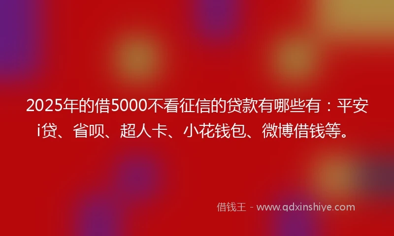 2025年的借5000不看征信的贷款有哪些有：平安i贷、省呗、超人卡、小花钱包、微博借钱等。