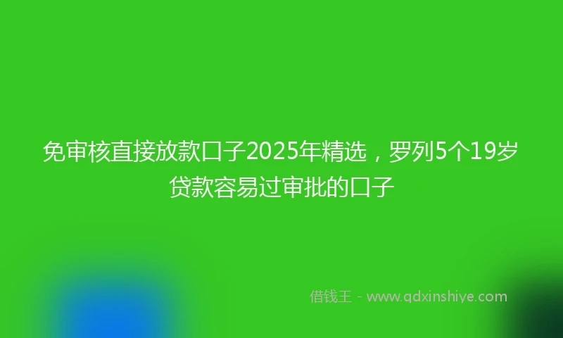 免审核直接放款口子2025年精选，罗列5个19岁贷款容易过审批的口子