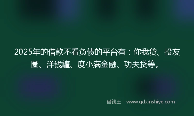 2025年的借款不看负债的平台有：你我贷、投友圈、洋钱罐、度小满金融、功夫贷等。
