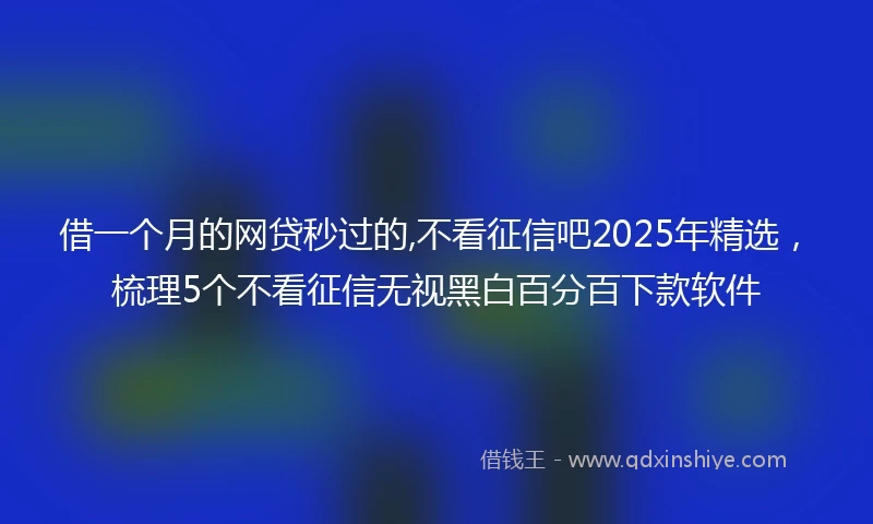 借一个月的网贷秒过的,不看征信吧2025年精选，梳理5个不看征信无视黑白百分百下款软件