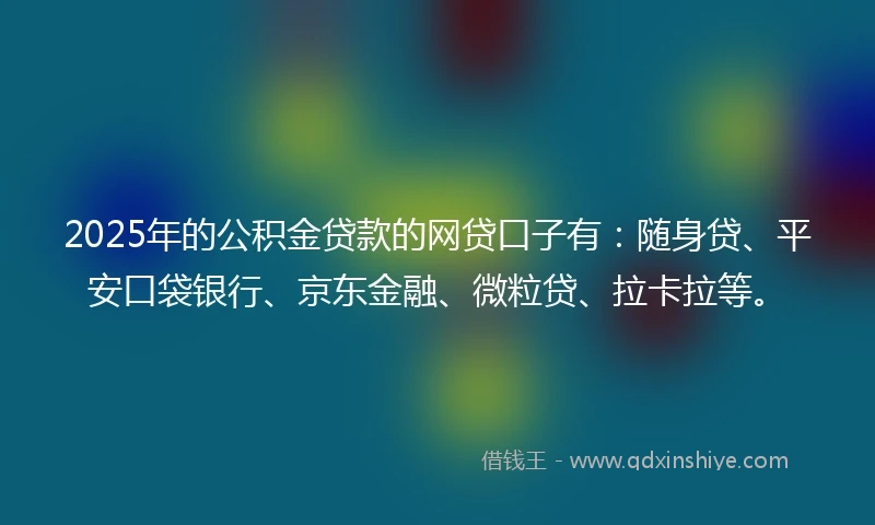 2025年的公积金贷款的网贷口子有：随身贷、平安口袋银行、京东金融、微粒贷、拉卡拉等。