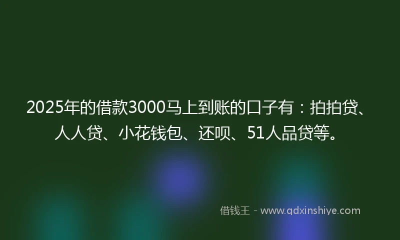 2025年的借款3000马上到账的口子有：拍拍贷、人人贷、小花钱包、还呗、51人品贷等。