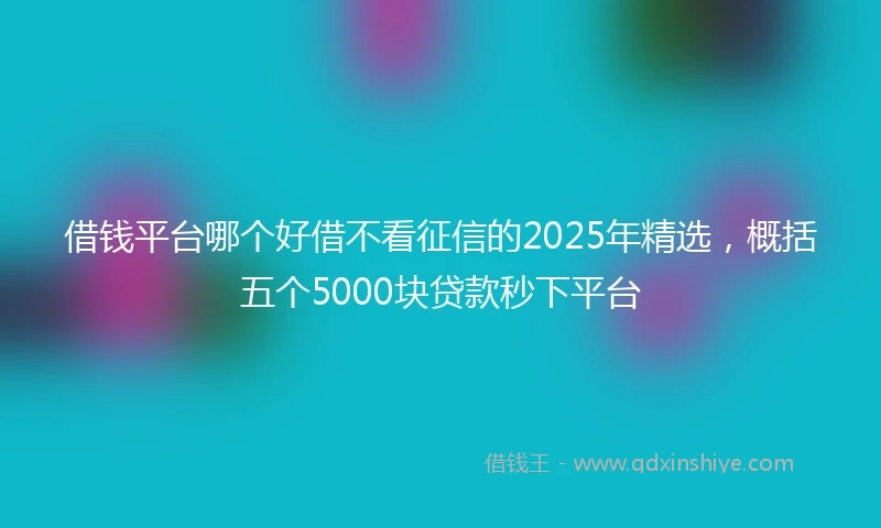 借钱平台哪个好借不看征信的2025年精选，概括五个5000块贷款秒下平台