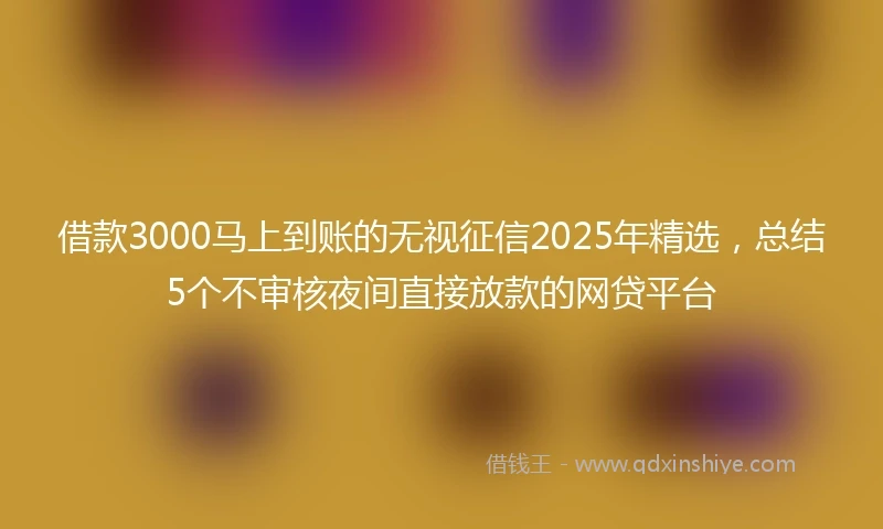 借款3000马上到账的无视征信2025年精选,总结5个不审核夜间直接放款的网贷平台