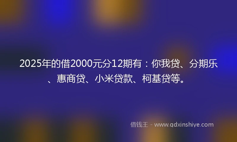2025年的借2000元分12期有:你我贷、分期乐、惠商贷、小米贷款、柯基贷等。