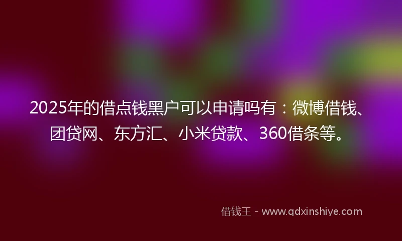 2025年的借点钱黑户可以申请吗有：微博借钱、团贷网、东方汇、小米贷款、360借条等。