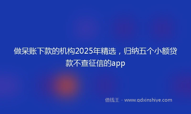 做呆账下款的机构2025年精选，归纳五个小额贷款不查征信的app