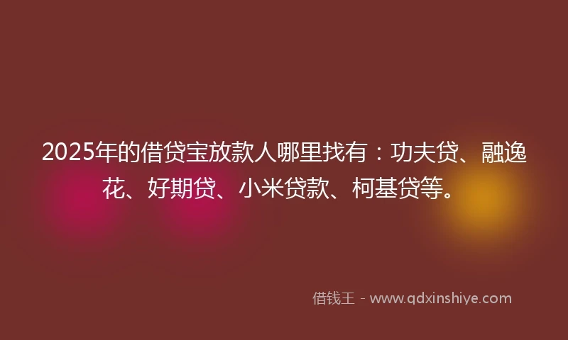 2025年的借贷宝放款人哪里找有：功夫贷、融逸花、好期贷、小米贷款、柯基贷等。