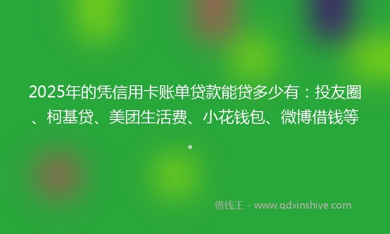 2025年的凭信用卡账单贷款能贷多少有：投友圈、柯基贷、美团生活费、小花钱包、微博借钱等。