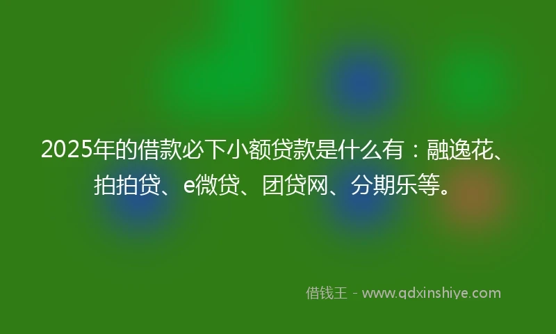 2025年的借款必下小额贷款是什么有：融逸花、拍拍贷、e微贷、团贷网、分期乐等。