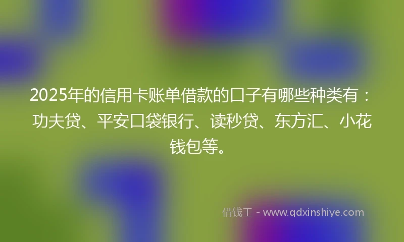 2025年的信用卡账单借款的口子有哪些种类有：功夫贷、平安口袋银行、读秒贷、东方汇、小花钱包等。